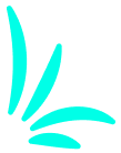 Next Gen Webtech Solutions
